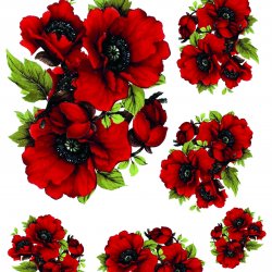 My Hobby ST 015 Sulu Transfer 25x35 cm