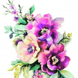 My Hobby ST 017 Sulu Transfer 25x35 cm