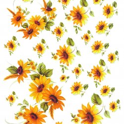 My Hobby ST 018 Sulu Transfer 25x35 cm