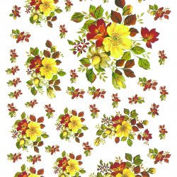My Hobby ST 022 Sulu Transfer 25x35 cm
