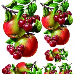 My Hobby ST 025 Sulu Transfer 25x35 cm