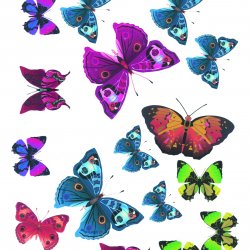 My Hobby ST 026 Sulu Transfer 25x35 cm