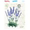 My Hobby ST 031 Sulu Transfer 25x35 cm