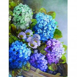 My Hobby ST 049 Sulu Transfer 25x35 cm