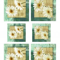 My Hobby ST 056 Sulu Transfer 25x35 cm