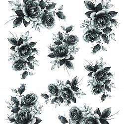 My Hobby ST 060 Sulu Transfer 25x35 cm