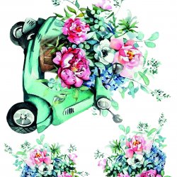 My Hobby ST 061 Sulu Transfer 25x35 cm