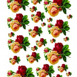 My Hobby ST 062 Sulu Transfer 25x35 cm