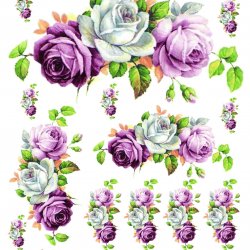 My Hobby ST 064 Sulu Transfer 25x35 cm