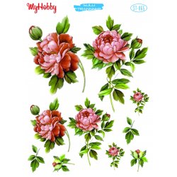 My Hobby ST 065 Sulu Transfer 25x35 cm