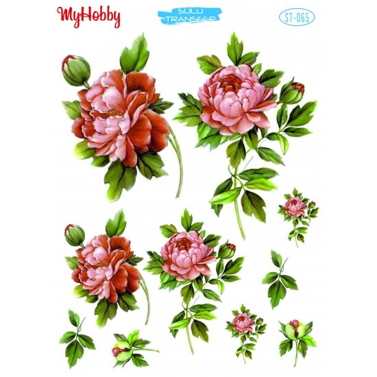 My Hobby ST 065 Sulu Transfer 25x35 cm