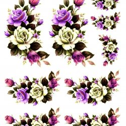 My Hobby ST 067 Sulu Transfer 25x35 cm
