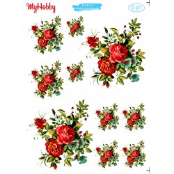 My Hobby ST 071 Sulu Transfer 25x35 cm