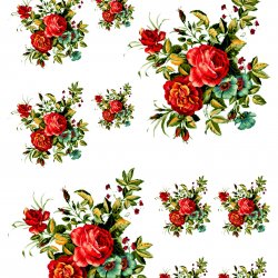 My Hobby ST 071 Sulu Transfer 25x35 cm