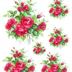 My Hobby ST 073 Sulu Transfer 25x35 cm