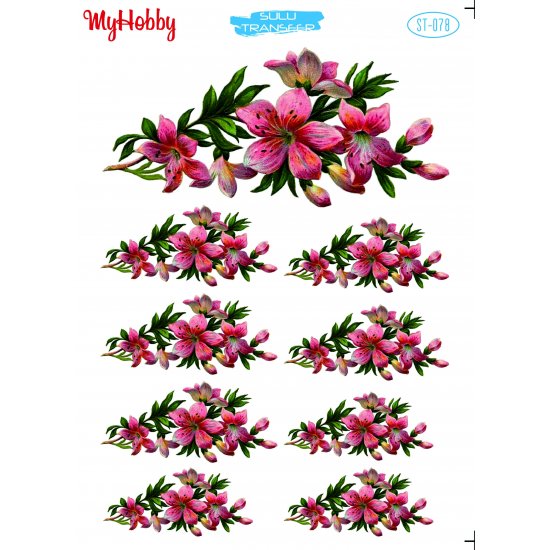 My Hobby ST 078 Sulu Transfer 25x35 cm
