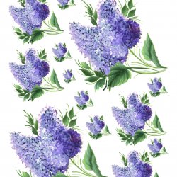 My Hobby ST 079 Sulu Transfer 25x35 cm
