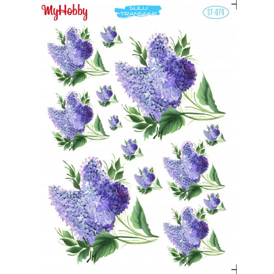 My Hobby ST 079 Sulu Transfer 25x35 cm