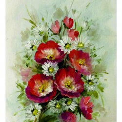 My Hobby ST 084 Sulu Transfer 25x35 cm