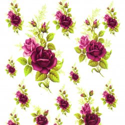 My Hobby ST 087 Sulu Transfer 25x35 cm