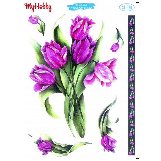 My Hobby ST 088 Sulu Transfer 25x35 cm