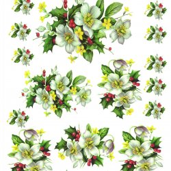 My Hobby ST 089 Sulu Transfer 25x35 cm