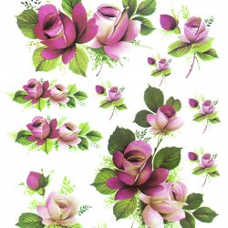 My Hobby ST 097 Sulu Transfer 25x35 cm