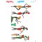 My Hobby ST 104 Sulu Transfer 25x35 cm