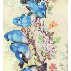 My Hobby ST 113 Sulu Transfer 25x35 cm