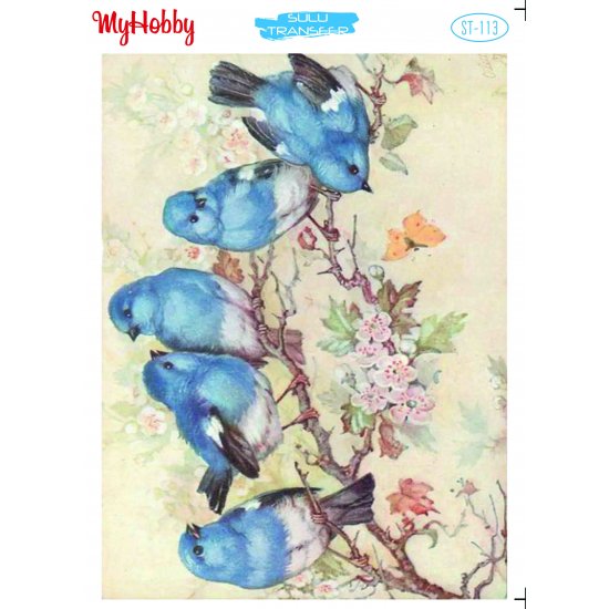 My Hobby ST 113 Sulu Transfer 25x35 cm