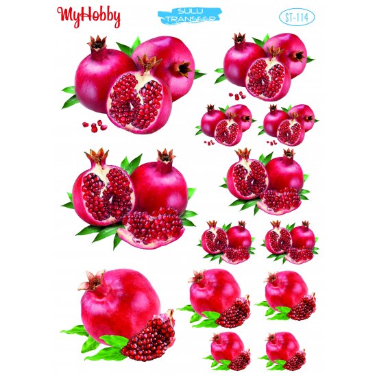 My Hobby ST 114 Sulu Transfer 25x35 cm