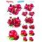 My Hobby ST 114 Sulu Transfer 25x35 cm
