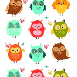My Hobby ST 116 Sulu Transfer 25x35 cm