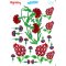 My Hobby ST 122 Sulu Transfer 25x35 cm