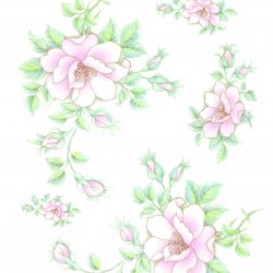 My Hobby ST 125 Sulu Transfer 25x35 cm