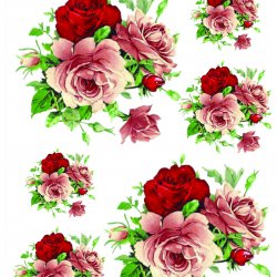 My Hobby ST 126 Sulu Transfer 25x35 cm