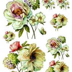 My Hobby ST 127 Sulu Transfer 25x35 cm