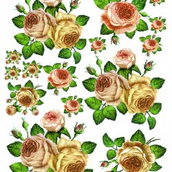 My Hobby ST 135 Sulu Transfer 25x35 cm