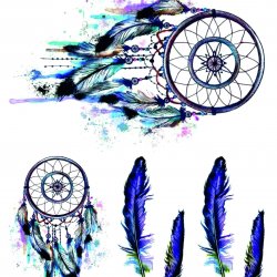 My Hobby ST 136 Sulu Transfer 25x35 cm