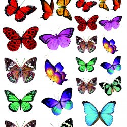 My Hobby ST 138 Sulu Transfer 25x35 cm