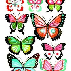 My Hobby ST 142 Sulu Transfer 25x35 cm