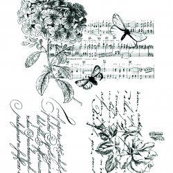 My Hobby ST 146 Sulu Transfer 25x35 cm