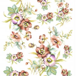 My Hobby ST 162 Sulu Transfer 25x35 cm