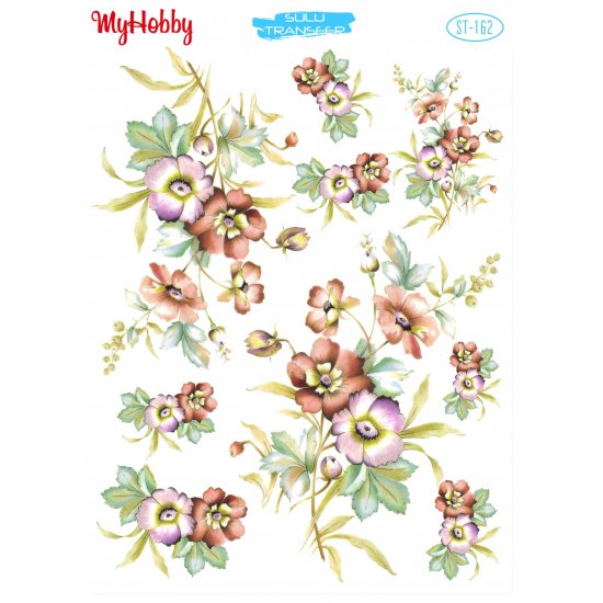 My Hobby ST 162 Sulu Transfer 25x35 cm