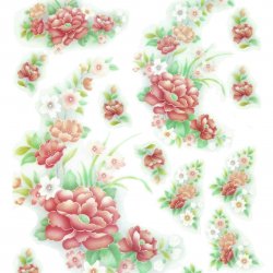My Hobby ST 164 Sulu Transfer 25x35 cm
