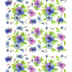 My Hobby ST 167 Sulu Transfer 25x35 cm