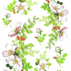 My Hobby ST 169 Sulu Transfer 25x35 cm