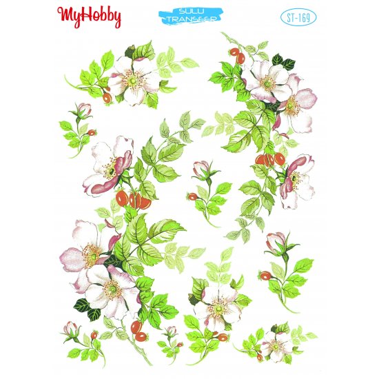 My Hobby ST 169 Sulu Transfer 25x35 cm