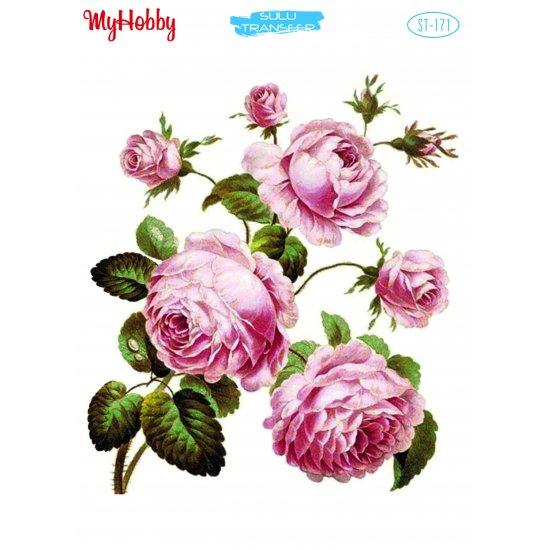 My Hobby ST 171 Sulu Transfer 25x35 cm