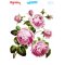 My Hobby ST 171 Sulu Transfer 25x35 cm